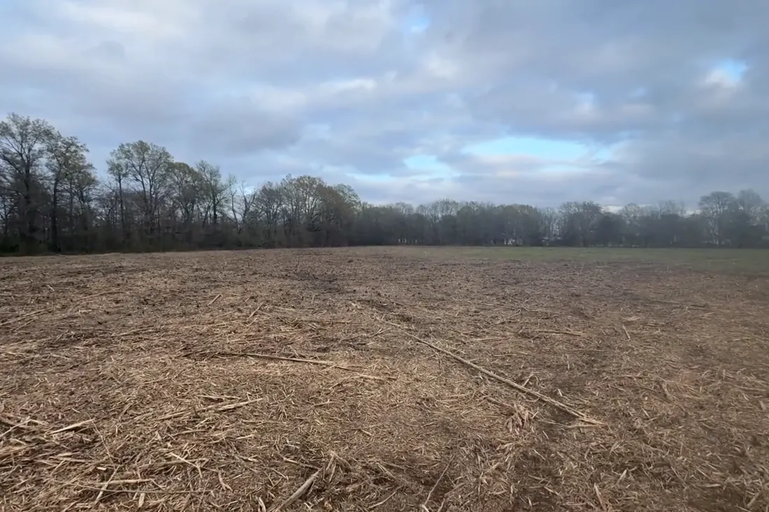 Land Clearing in St. Joseph, LA