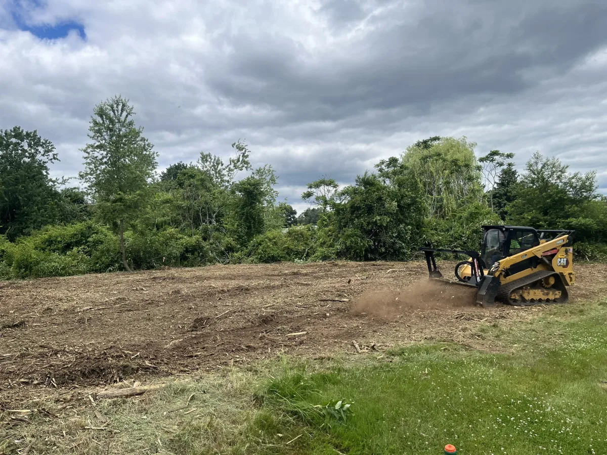 Forestry mulcher grinding brush into mulch on a Northeast Louisiana property