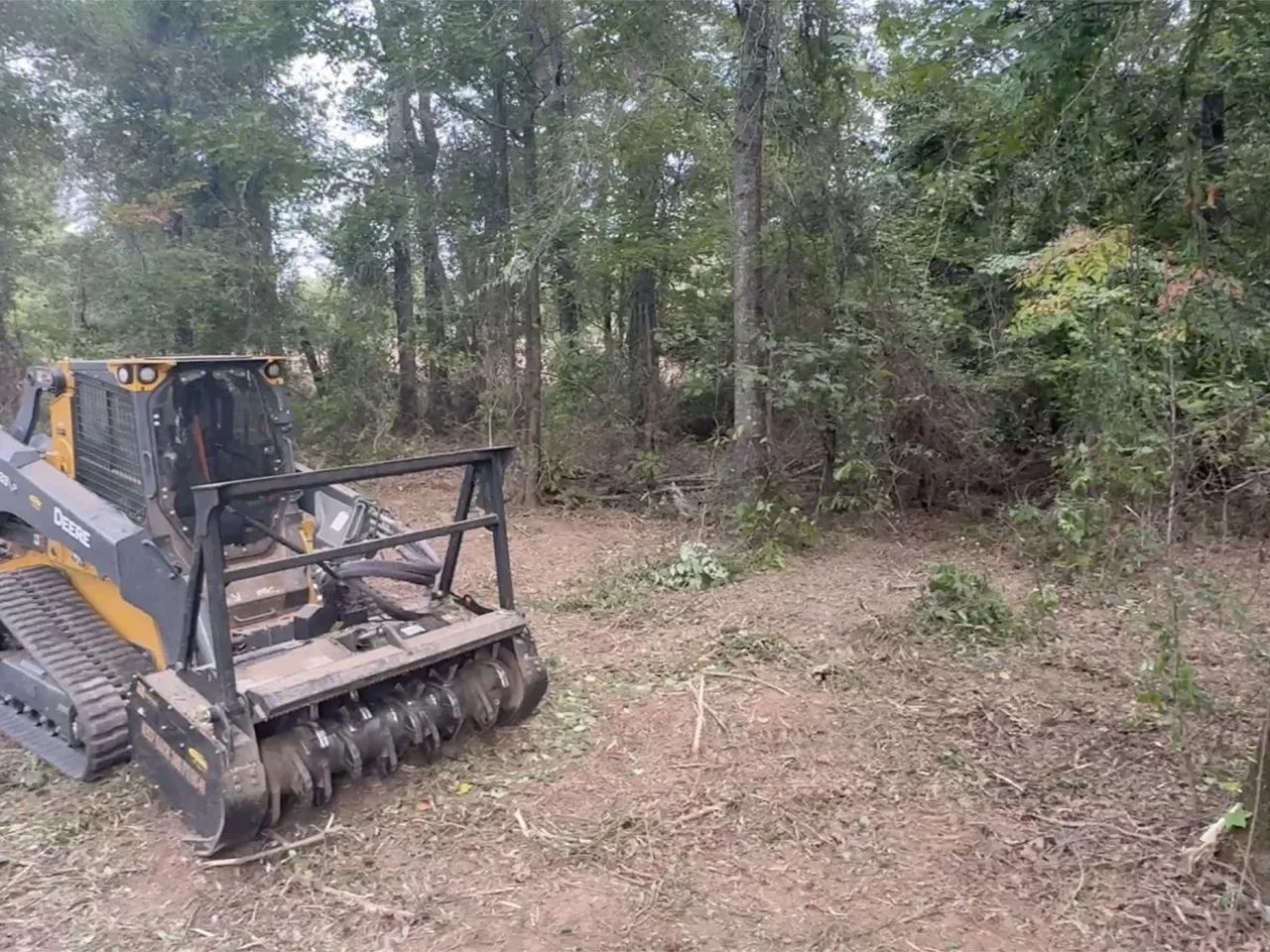 A compact track loader with a forestry mulching head working through saplings in Northeast Louisiana