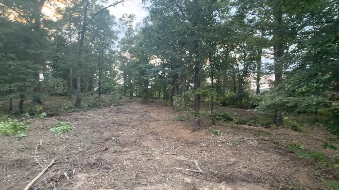 A mulched corridor through pine and hardwood timber, the kind of route a camp road follows