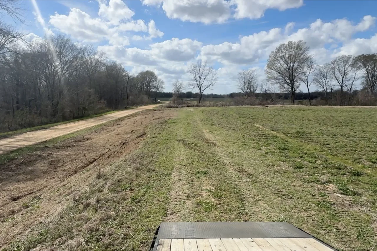 A freshly mowed lane running through a field toward a tree line