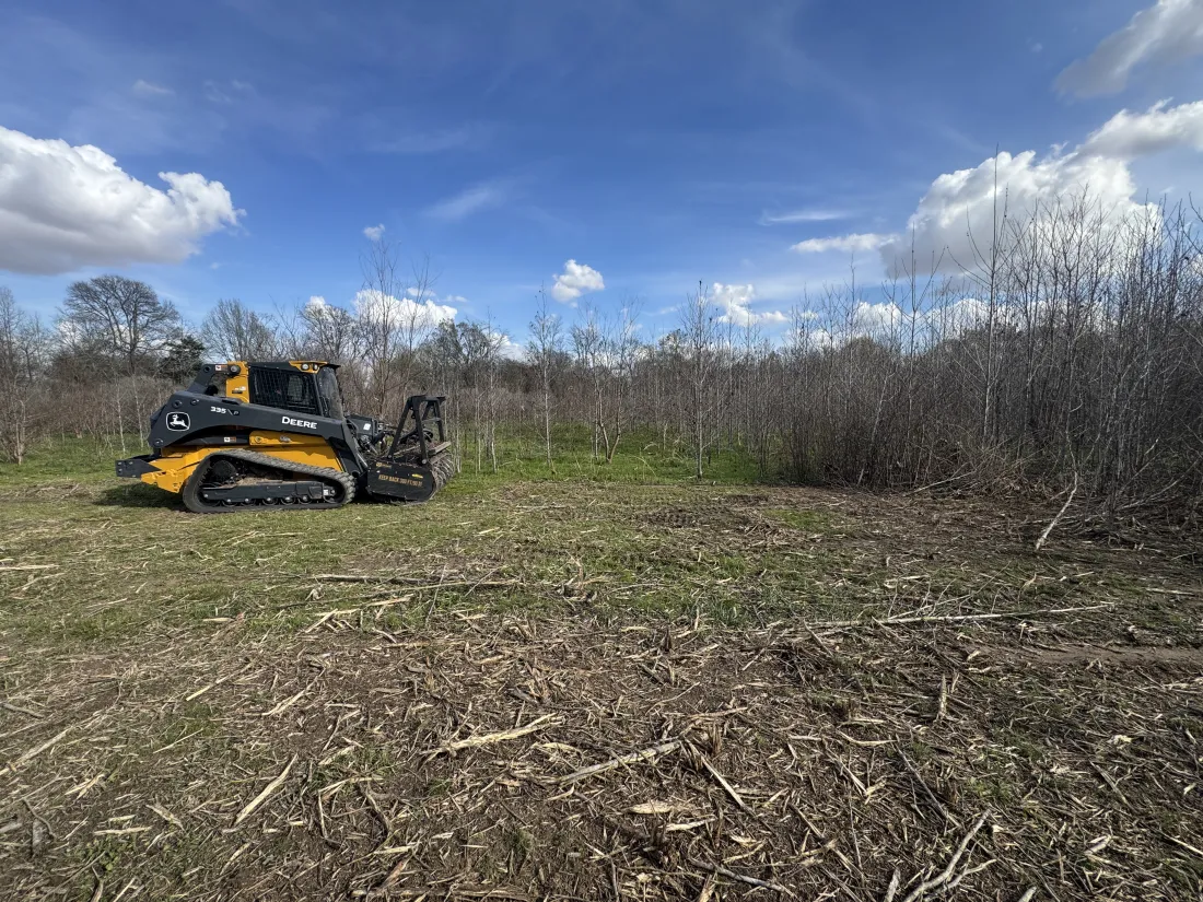 Cleared, usable acreage after reclamation near Rayville, LA