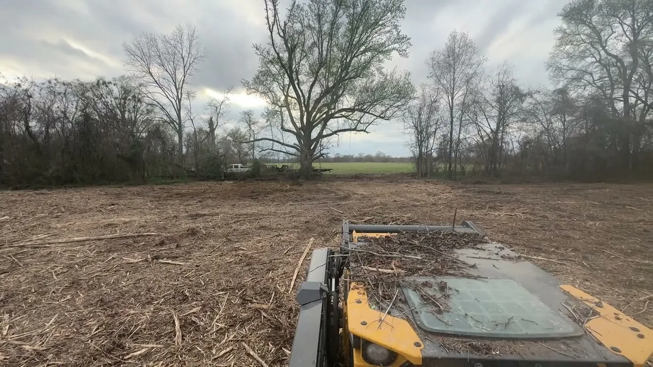 Skid Steer and Track Loader Services in Rayville, LA