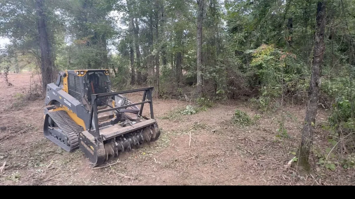 Forestry mulcher working along a tree line on rural acreage in Northeast Louisiana