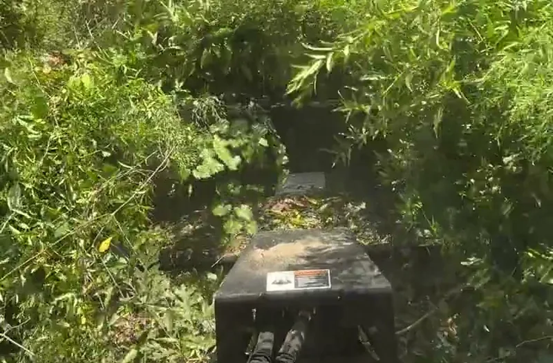 Brush Clearing in Rayville, LA