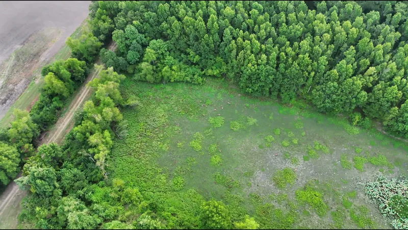 Drone Mapping, Aerial Imagery & Herd Assessments in Northeast Louisiana