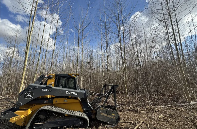 Storm Cleanup in Rayville, LA