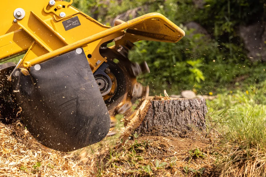 Stump Grinding in Northeast Louisiana